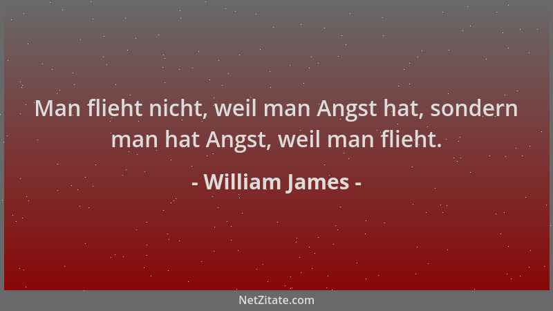 William James - Man flieht nicht, weil man Angst hat, sondern man hat Angst, weil man flieht....