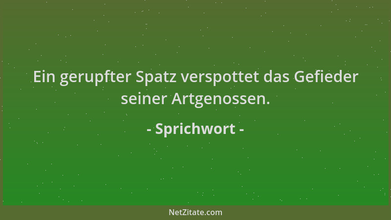 Sprichwort - Ein gerupfter Spatz verspottet das Gefieder seiner Artgenossen....
