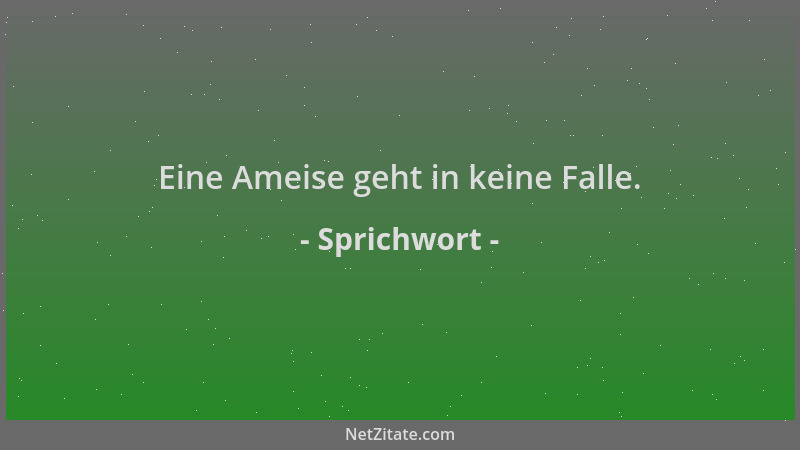 Sprichwort - Eine Ameise geht in keine Falle....
