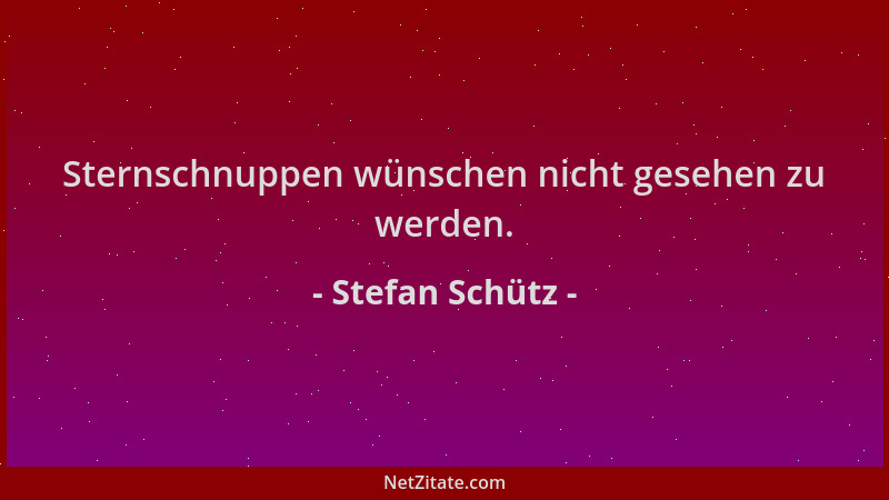 Stefan Schütz - Sternschnuppen wünschen nicht gesehen zu werden....