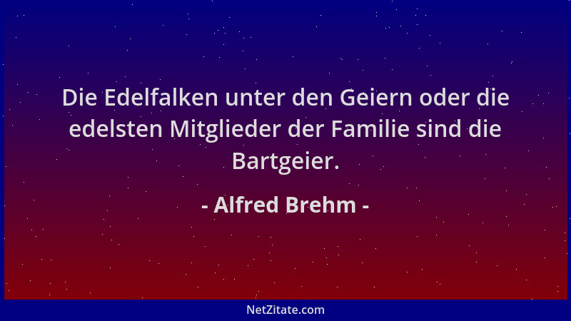 Alfred Brehm - Die Edelfalken unter den Geiern oder die edelsten Mitglieder der Familie sind die Bartgeier....
