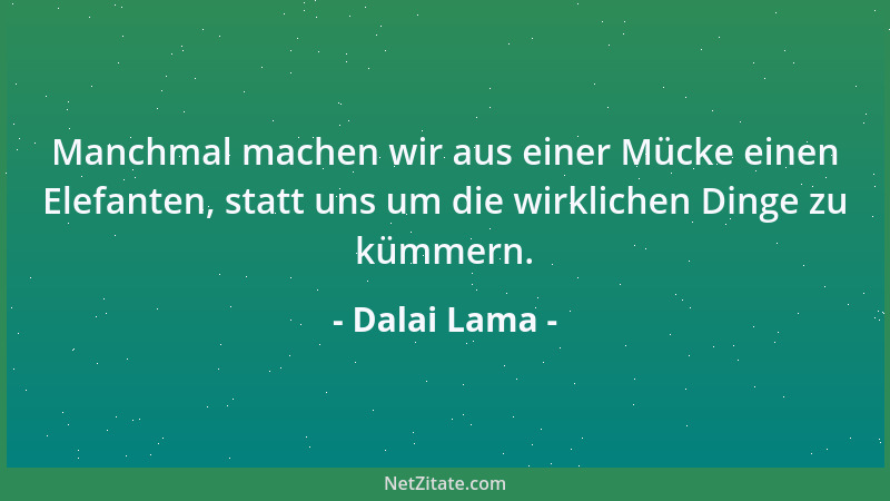 Dalai Lama - Manchmal machen wir aus einer Mücke einen Elefanten, statt uns um die wirklichen Dinge zu kümmern....