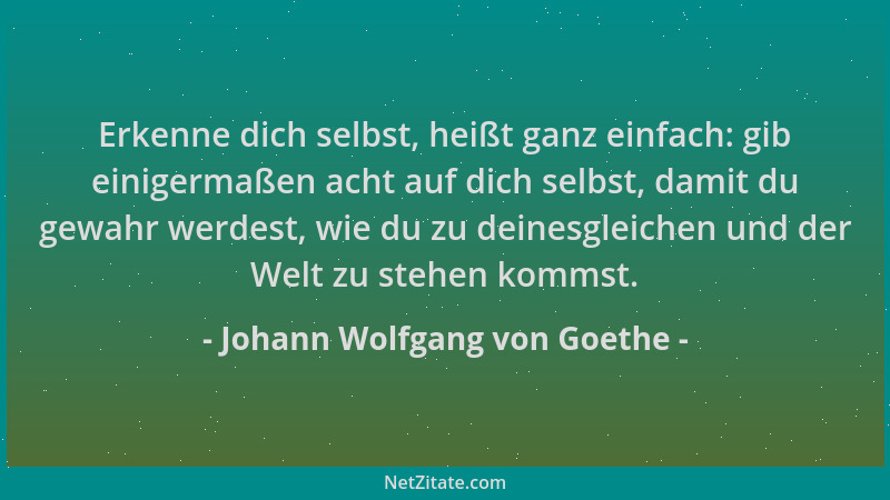 Johann Wolfgang von Goethe - Erkenne dich selbst, heißt ganz einfach: gib einigermaßen acht auf dich selbst, damit du gewah...