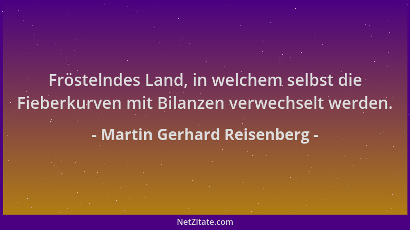 Martin Gerhard Reisenberg - Fröstelndes Land, in welchem selbst die Fieberkurven mit Bilanzen verwechselt werden....