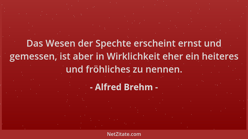 Alfred Brehm - Das Wesen der Spechte erscheint ernst und gemessen, ist aber in Wirklichkeit eher ein heiteres und fröhliche...
