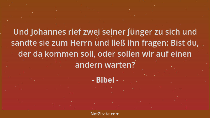 Bibel - Und Johannes rief zwei seiner Jünger zu sich und sandte sie zum Herrn und ließ ihn fragen: Bist du, der da kommen s...