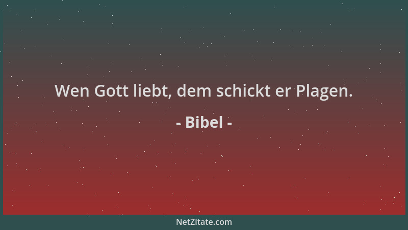 Bibel - Wen Gott liebt, dem schickt er Plagen....