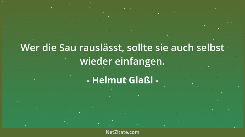 Helmut Glaßl - Wer die Sau rauslässt, sollte sie auch selbst wieder einfangen....