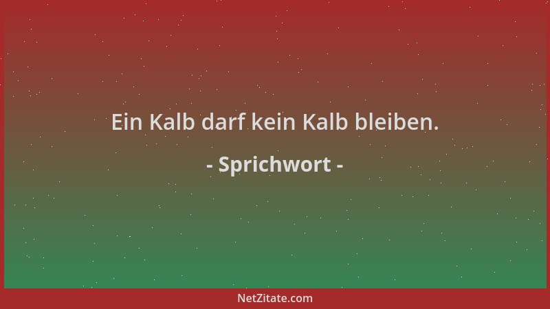Sprichwort - Ein Kalb darf kein Kalb bleiben....