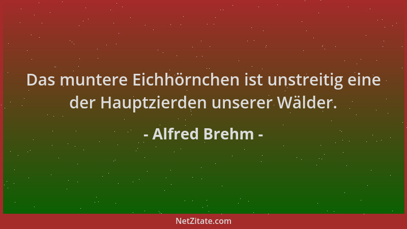 Alfred Brehm - Das muntere Eichhörnchen ist unstreitig eine der Hauptzierden unserer Wälder....