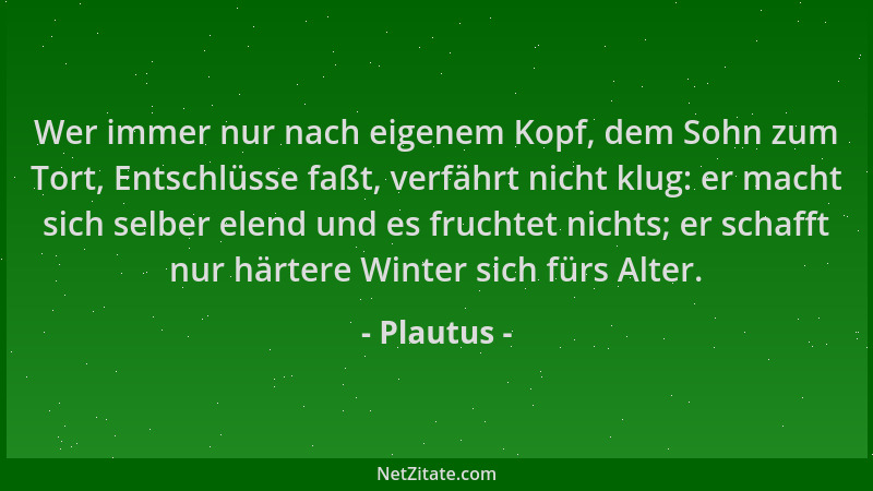 Plautus - Wer immer nur nach eigenem Kopf, dem Sohn zum Tort, Entschlüsse faßt, verfährt nicht klug: er macht sich selber e...