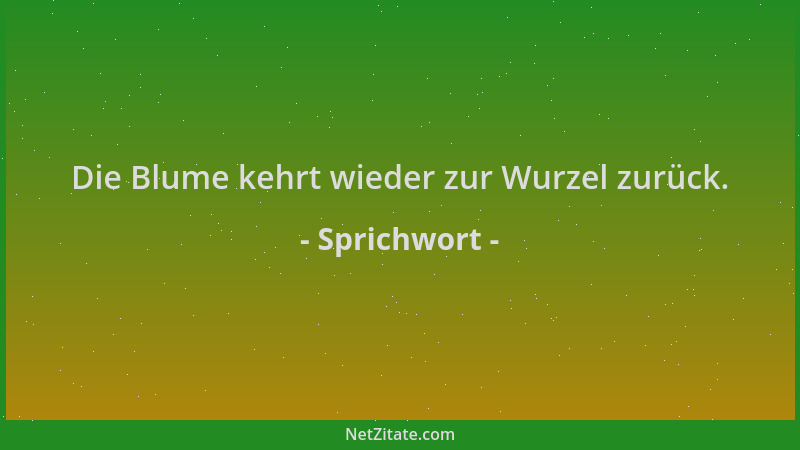 Sprichwort - Die Blume kehrt wieder zur Wurzel zurück....