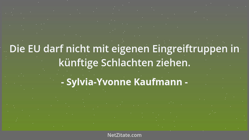 Sylvia-Yvonne Kaufmann - Die EU darf nicht mit eigenen Eingreiftruppen in künftige Schlachten ziehen....