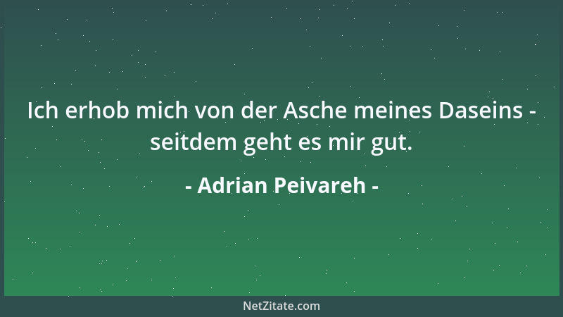 Adrian Peivareh - Ich erhob mich von der Asche meines Daseins - seitdem geht es mir gut....