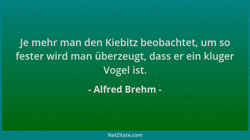 Alfred Brehm - Je mehr man den Kiebitz beobachtet, um so fester wird man überzeugt, dass er ein kluger Vogel ist....