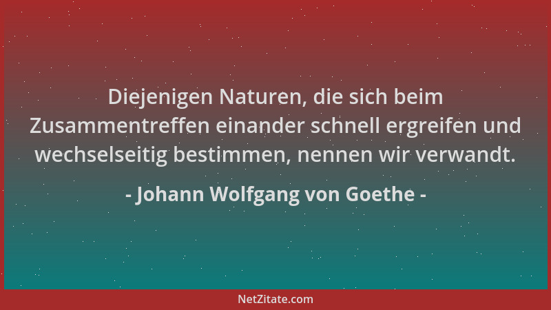 Johann Wolfgang von Goethe - Diejenigen Naturen, die sich beim Zusammentreffen einander schnell ergreifen und wechselseitig...