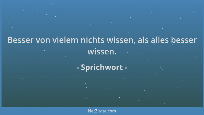 Sprichwort - Besser von vielem nichts wissen, als alles besser wissen....