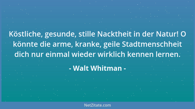 Walt Whitman - Als ob irgend jemand irgend etwas von meinem Leben wirklich wüßte!...