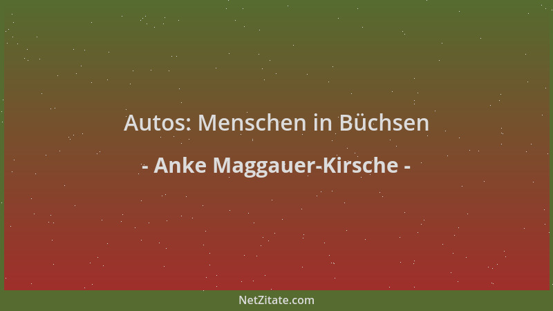 Anke Maggauer-Kirsche - Autos: Menschen in Büchsen...