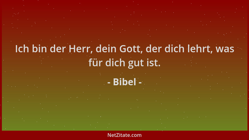 Bibel - Ich bin der Herr, dein Gott, der dich lehrt, was für dich gut ist....
