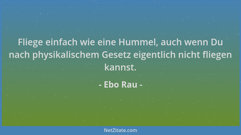 Ebo Rau - Fliege einfach wie eine Hummel, auch wenn Du nach physikalischem Gesetz eigentlich nicht fliegen kannst....