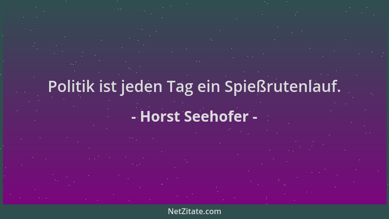 Horst Seehofer - Politik ist jeden Tag ein Spießrutenlauf....