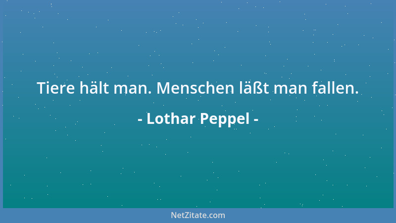 Lothar Peppel - Psychologie: Selbst im Flachen Tiefe suchen....