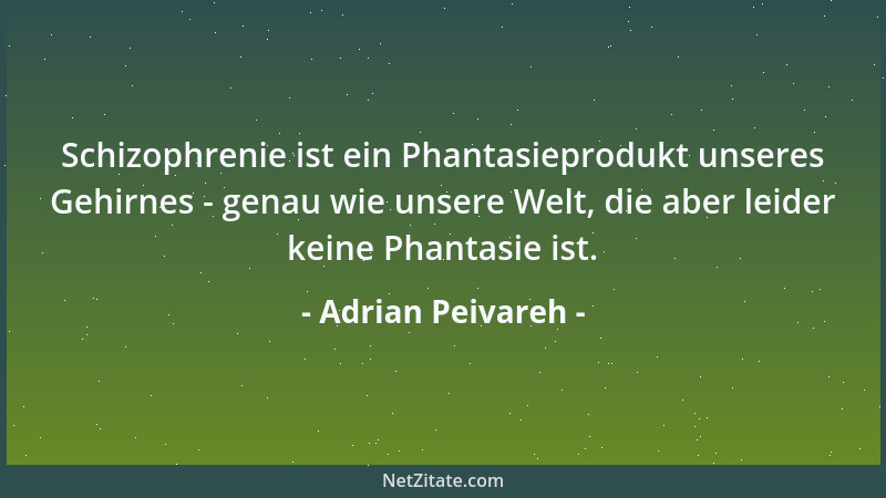 Adrian Peivareh - Schizophrenie ist ein Phantasieprodukt unseres Gehirnes - genau wie unsere Welt, die aber leider keine Ph...