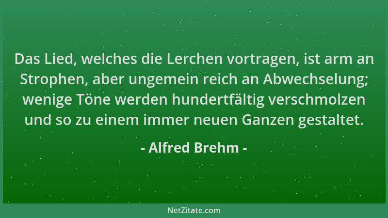 Alfred Brehm - Das Lied, welches die Lerchen vortragen, ist arm an Strophen, aber ungemein reich an Abwechselung; wenige Tö...