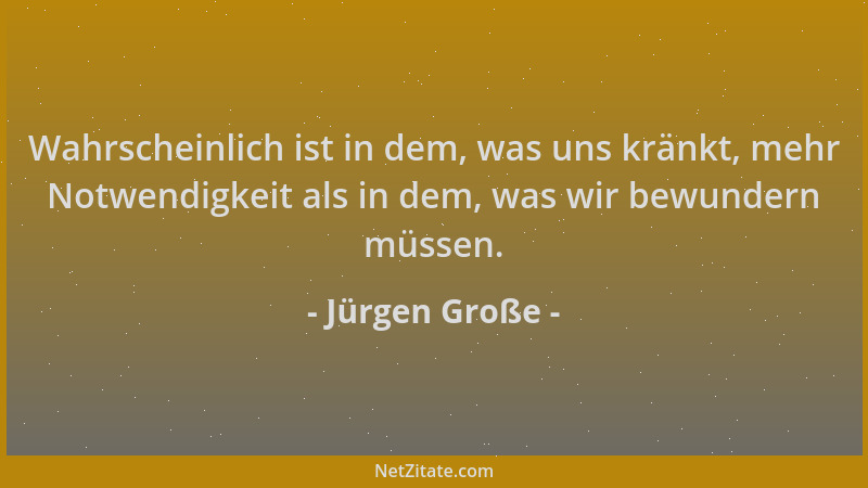 Jürgen Große - Wahrscheinlich ist in dem, was uns kränkt, mehr Notwendigkeit als in dem, was wir bewundern müssen....