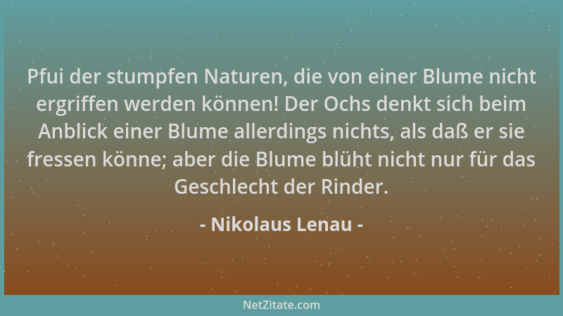Nikolaus Lenau - Pfui der stumpfen Naturen, die von einer Blume nicht ergriffen werden können! Der Ochs denkt sich beim Anb...