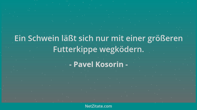 Pavel Kosorin - Ein Schwein läßt sich nur mit einer größeren Futterkippe wegködern....