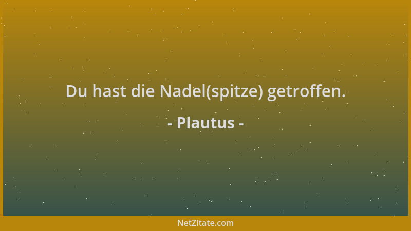 Plautus - Du hast die Nadel(spitze) getroffen....