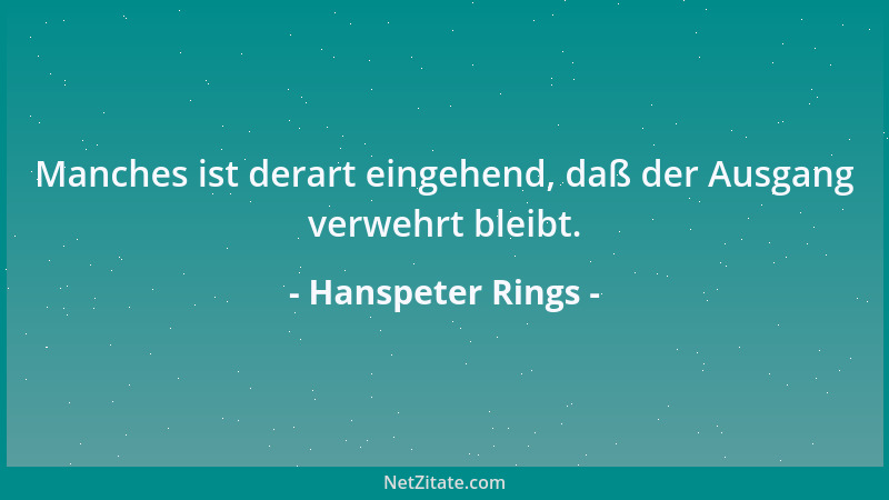 Hanspeter Rings - Manches ist derart eingehend, daß der Ausgang verwehrt bleibt....