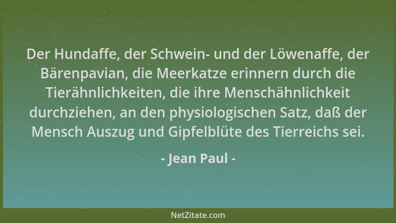 Jean Paul - Der Hundaffe, der Schwein- und der Löwenaffe, der Bärenpavian, die Meerkatze erinnern durch die Tierähnlichkeit...