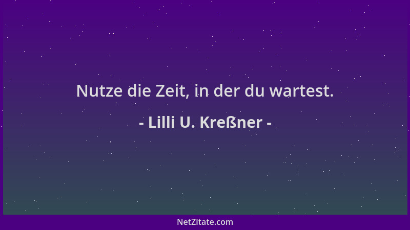 Lilli U. Kreßner - Nutze die Zeit, in der du wartest....