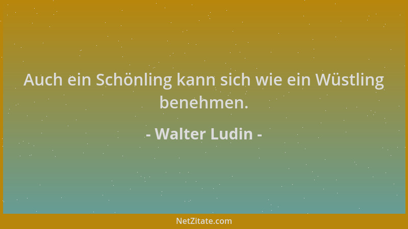 Walter Ludin - Auch ein Schönling kann sich wie ein Wüstling benehmen....