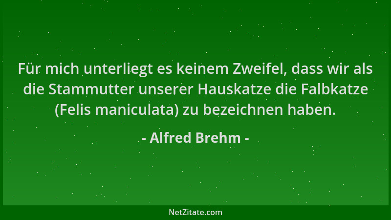 Alfred Brehm - Für mich unterliegt es keinem Zweifel, dass wir als die Stammutter unserer Hauskatze die Falbkatze (Felis ma...