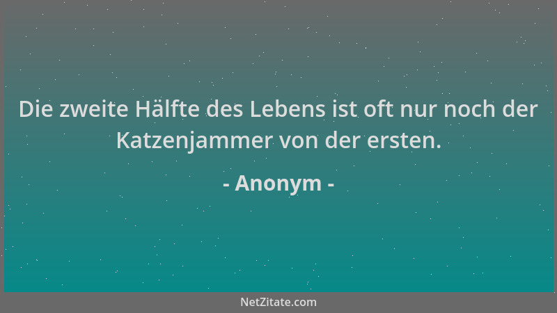 Anonym - Die zweite Hälfte des Lebens ist oft nur noch der Katzenjammer von der ersten....