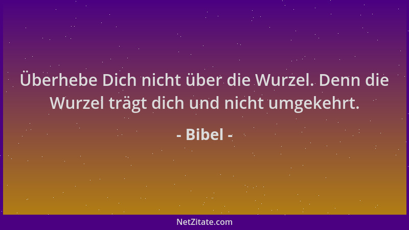 Bibel - Überhebe Dich nicht über die Wurzel. Denn die Wurzel trägt dich und nicht umgekehrt....
