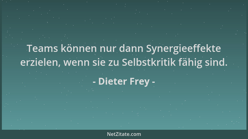 Dieter Frey - Teams können nur dann Synergieeffekte erzielen, wenn sie zu Selbstkritik fähig sind....