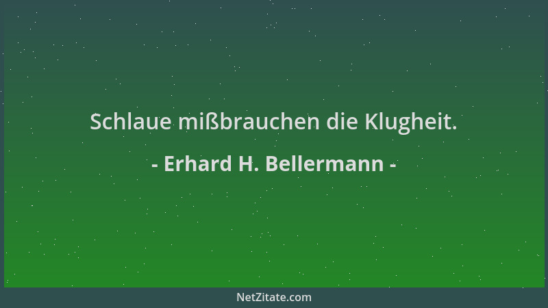 Erhard H. Bellermann - Schlaue mißbrauchen die Klugheit....