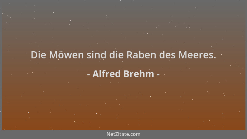 Alfred Brehm - Die Möwen sind die Raben des Meeres....