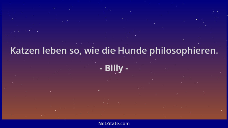 Billy - Katzen leben so, wie die Hunde philosophieren....