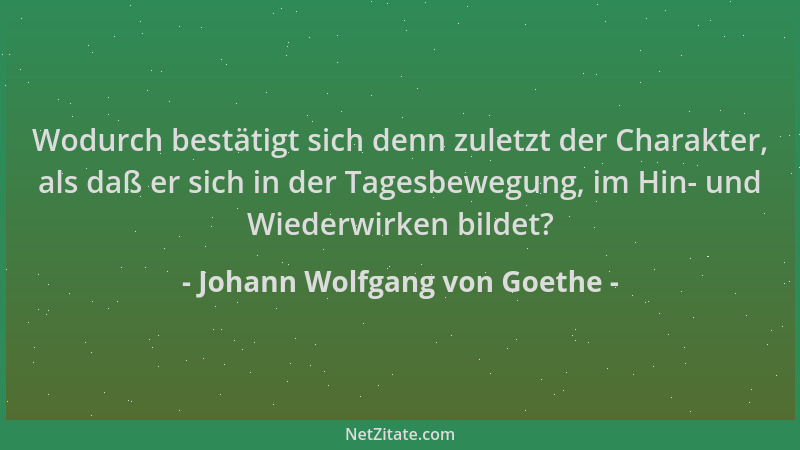 Johann Wolfgang von Goethe - Wodurch bestätigt sich denn zuletzt der Charakter, als daß er sich in der Tagesbewegung, im Hi...
