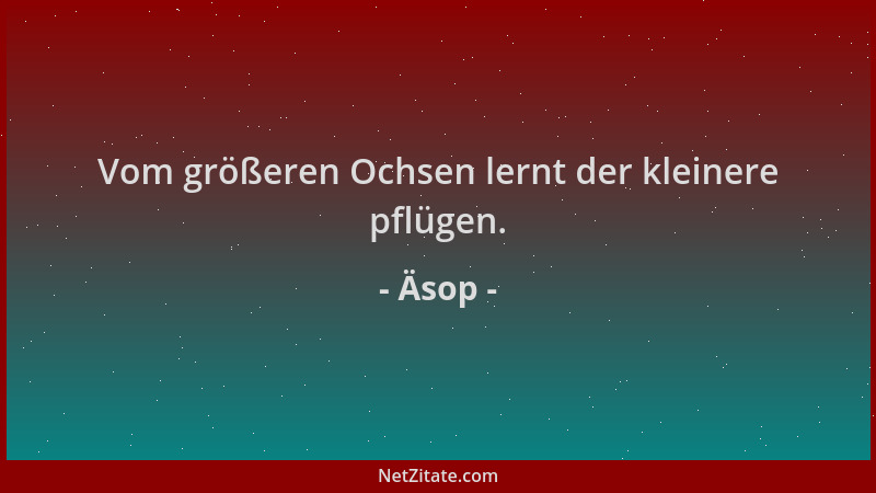 Äsop - Vom größeren Ochsen lernt der kleinere pflügen....