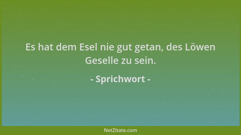 Sprichwort - Es hat dem Esel nie gut getan, des Löwen Geselle zu sein....