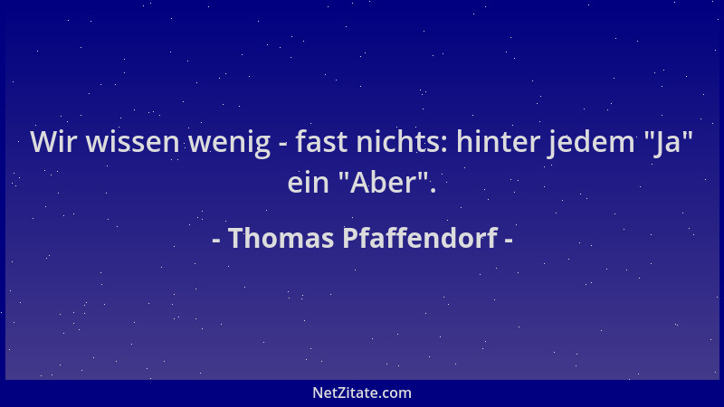 Thomas Pfaffendorf - Wir wissen wenig - fast nichts: hinter jedem  "Ja " ein  "Aber "....