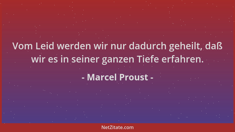 Marcel Proust - Vom Leid werden wir nur dadurch geheilt, daß wir es in seiner ganzen Tiefe erfahren....