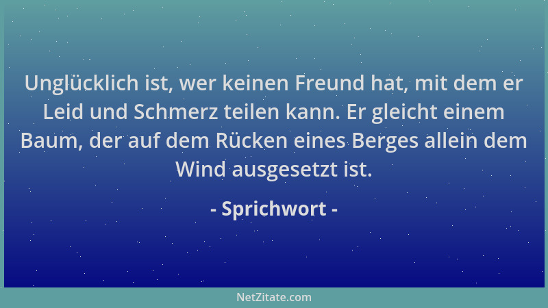 Sprichwort - Unglücklich ist, wer keinen Freund hat, mit dem er Leid und Schmerz teilen kann. Er gleicht einem Baum, der au...